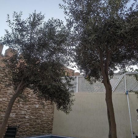 Aghata Palms Riad Essaouira Bagian luar foto