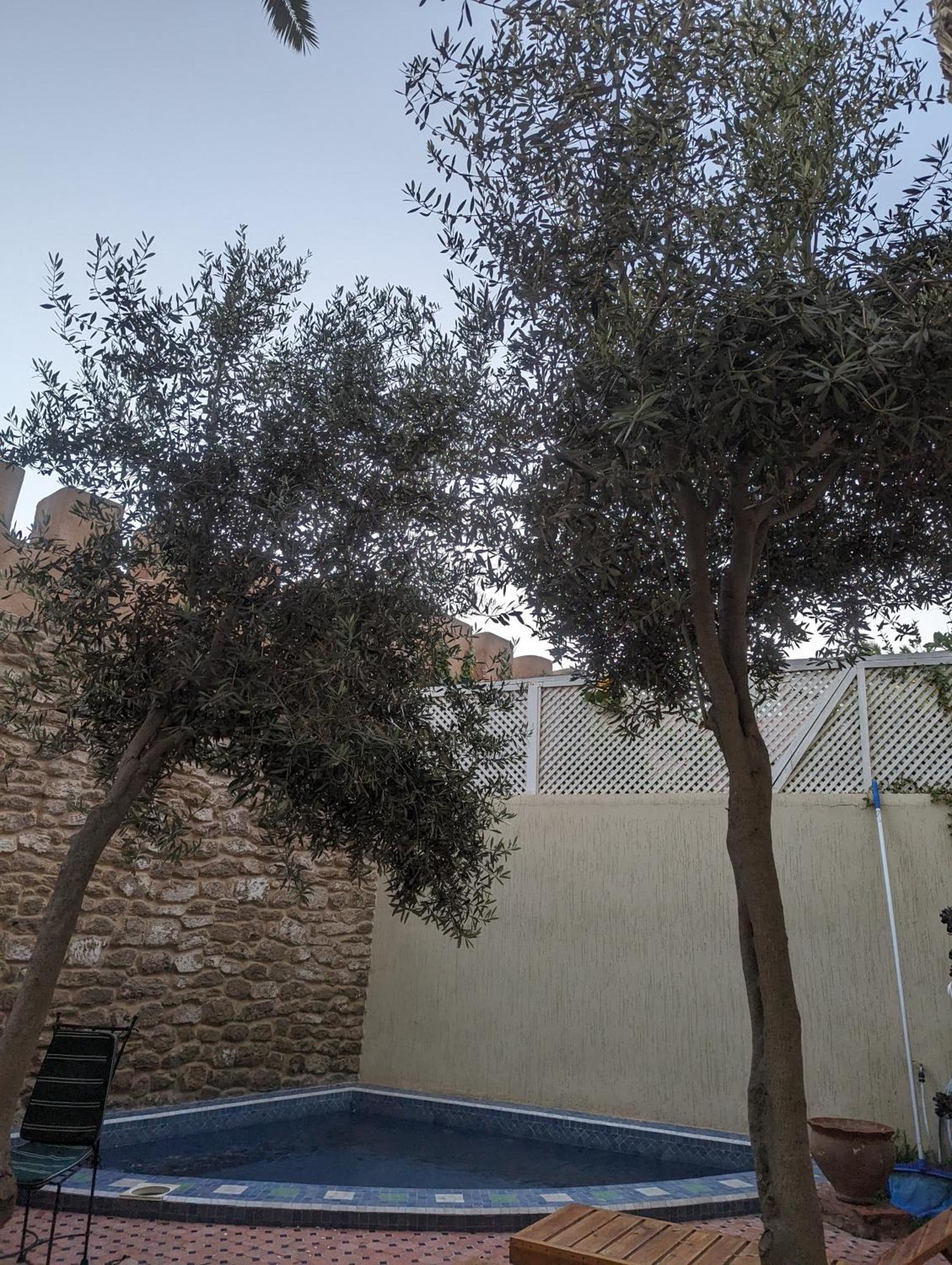Aghata Palms Riad Essaouira Bagian luar foto
