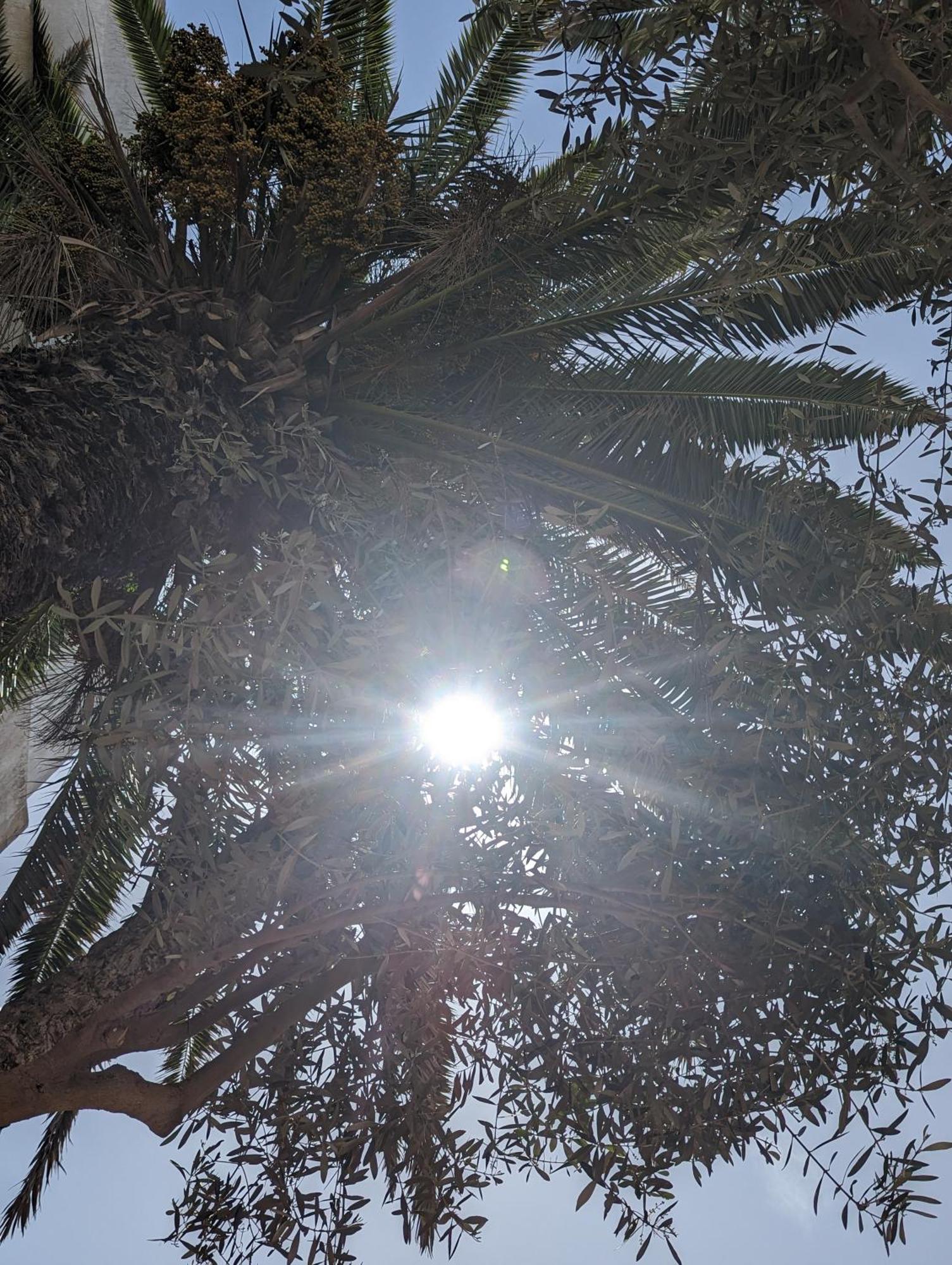Aghata Palms Riad Essaouira Bagian luar foto